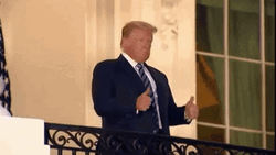 Trump Double Thumbs Up GIF