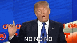 Trump Finger Wag GIF
