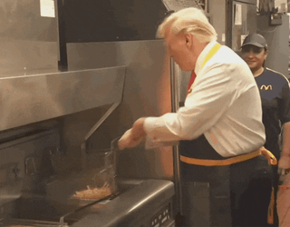 Trump Fry GIF