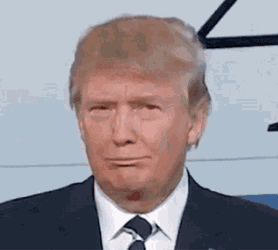 Trump GIF