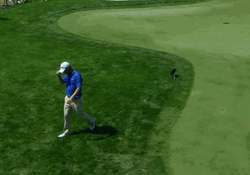 Trump Golf Guy Kicks Cap GIF