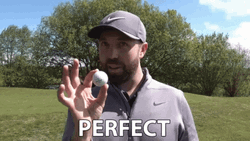 Trump Golf Perfect GIF