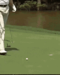 Trump Golf Trump Bending To Get Ball GIF