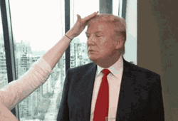 Trump Hair Touch GIF
