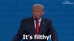 Trump It's Filthy GIF