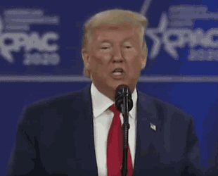 Trump Mini GIF