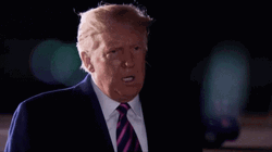 Trump Pause Meditating GIF