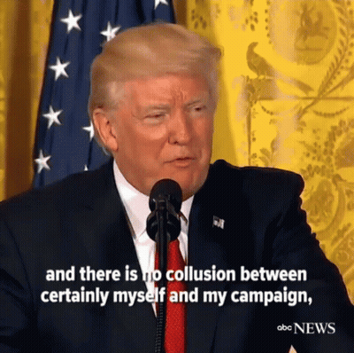 Trump Russia GIF