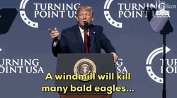 Trump Speech Concerning Bald Eagle GIF
