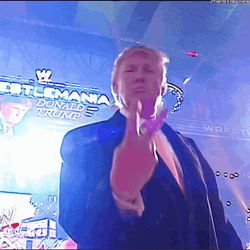Trump Wwe Peace Sign GIF