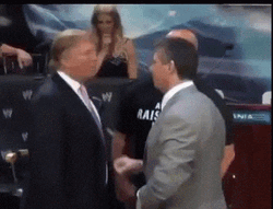 Trump Wwe Slapped Vince McMahon GIF