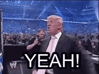 Trump Wwe Yeah GIF