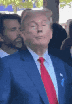 Trumpone GIF