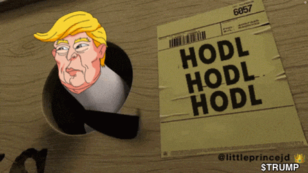 Trumpverse Donaldtrump GIF