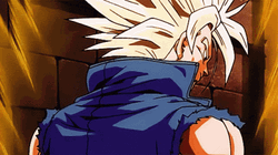 Trunks Super Saiyan Dragon Ball GIF