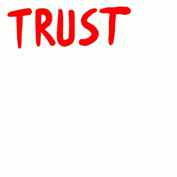 Trust The Democratic Process GIF