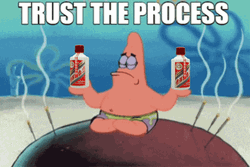 Trust The Process Patrick GIF