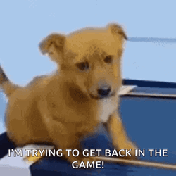 Trying To Back It Up GIF