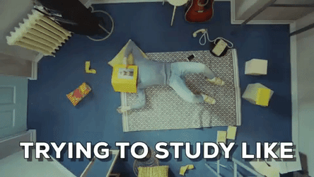 Trying To Study For Bar Exam Be Like GIF
