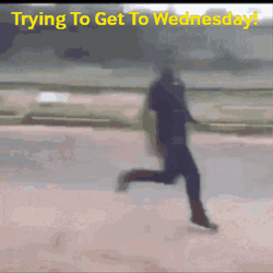 Trying To Survive It's Only Tuesday GIF
