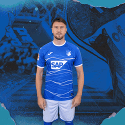 Tsg Hoffenheim Fussball GIF