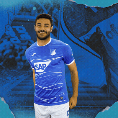 Tsg Hoffenheim Fußball GIF