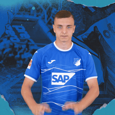 Tsg Hoffenheim Fussball GIF