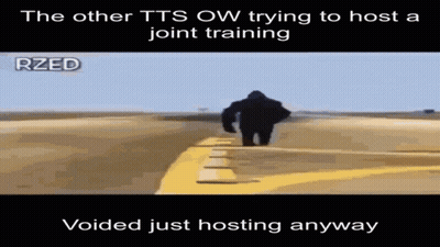 TTS Ow Trying To Host Joint Training Voided Just Hosting Anyway GIF