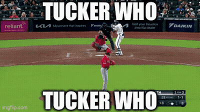 Tucker Who Tucker Who Sign Baseball Game GIF