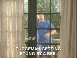 Tudgeman Not The Bees GIF