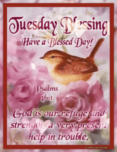 Tuesday Blessing Card With Bird And Roses GIF