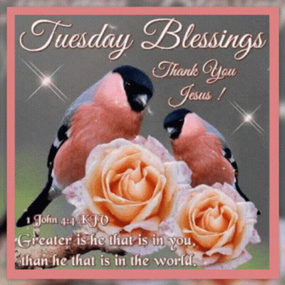 Tuesday Blessings Card With Birds And Roses GIF