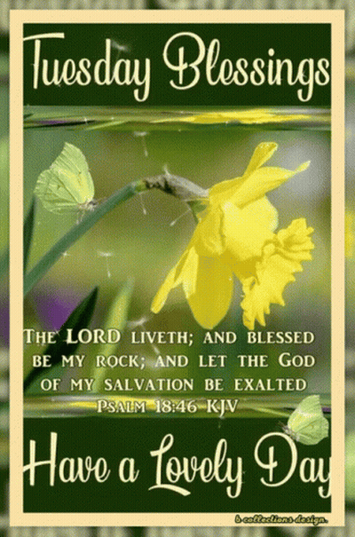 Tuesday Blessings Card With Yellow Flower GIF