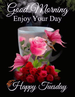 Tuesday Blessings Good Morning Tuesday GIF