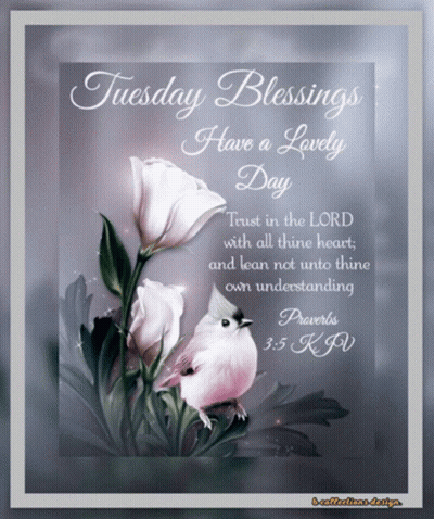 Tuesday Blessings Have A Lovely Day Card GIF