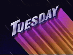 Tuesday Cool Wordings Meme GIF