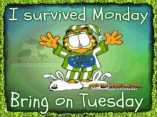 Tuesday Morning Bring It On Garfield Cat GIF