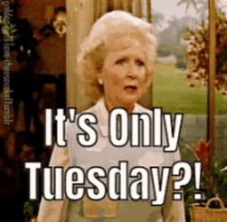 Tuesday Taco GIF
