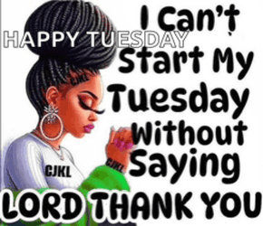 Tuesday Tuesday Morning Meme GIF