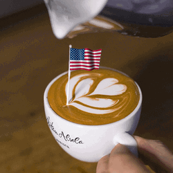 Tulip Latte Usa Flag Art GIF