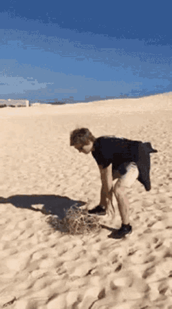 Tumbleweed Crickets GIF