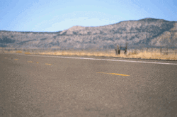 Tumbleweed Highway Road