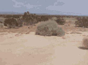 Tumbleweed Silence GIF