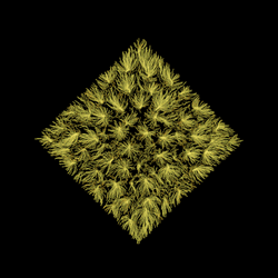 Tumblr Flower Artwork Diamond Form GIF
