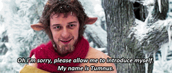 Tumnus On Winter Christmas