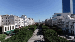 Tunisia Venue Habib Bourguiba  GIF