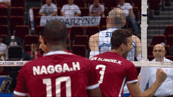 Tunisia Victorious Volleyball Win  GIF