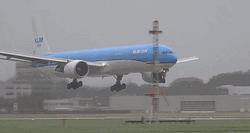 Turbulence Meme Landing Of Amsterdam Plane GIF