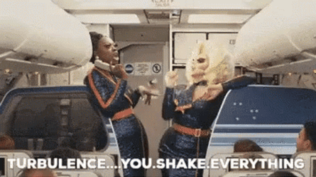 Turbulence Meme You Shake Everything GIF