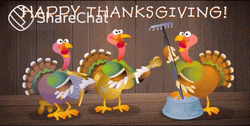 Turkey Band Animated Thanksgiving GIF